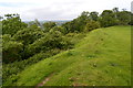 ST6225 : On the ramparts at South Cadbury Castle by David Martin