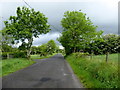 H5673 : Dark skies along Slievebane Road by Kenneth  Allen