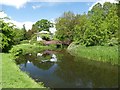 SJ9922 : Chinese House and Red Bridge on the Shugborough Estate by Graham Hogg