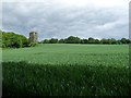 SE3519 : Dame Mary Bolles Water Tower [Heath], from the south by Christine Johnstone