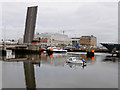 O1834 : The Tom Clark Bridge, Dublin by David Dixon