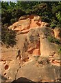 SX9691 : Sandstone cliff by Bishop's Way by Derek Harper