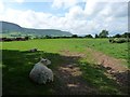 SO3324 : Sheep in the shade on a hot afternoon by Christine Johnstone