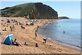 SY4690 : Harbour Beach and Cliff at West Bay by David Dixon