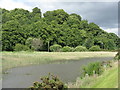 NS9785 : Reedy pond by the Fife Coastal Path by M J Richardson