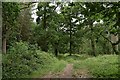 TL9367 : Footpath north through Pakenham Wood by John Myers