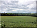 SO9980 : Farmland near Frankley by David Dixon