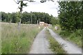  : Forest road and log piles near Methven by Richard Webb