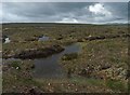 NB4051 : Bog, Blàr nan Lombaidean, Isle of Lewis by Claire Pegrum