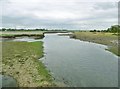 SU3613 : Totton, River Test by Mike Faherty