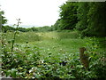 SS6644 : Lynton and Barnstaple Railway - Disused trackbed by Barrie Cann