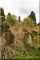 SO5175 : St Leonard's graveyard by Ian Capper