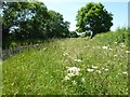 SP1304 : Broad roadside verge by Philip Halling