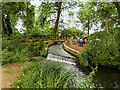 SU3227 : River Test, Small Weir near Mottisfont Abbey by David Dixon