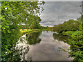 SU3326 : River Test South of Mottisfont by David Dixon