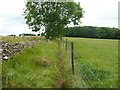 SO8607 : Footpath to The Frith, Slad by Humphrey Bolton