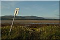 NH7895 : On the South Shore of Loch Fleet, Sutherland by Andrew Tryon