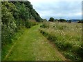 NS3875 : Path in Havoc Grassland by Lairich Rig