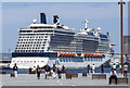 J3576 : The 'Celebrity Silhouette' at Belfast by Rossographer