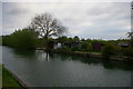 SP5006 : Allotments by the Thames, Oxford by Christopher Hilton