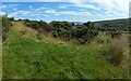 NS2874 : Bomb crater near Whinhill Reservoir by Lairich Rig