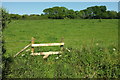 ST4807 : Stile near Wood Dairy Farm by Derek Harper