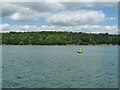 TM1740 : Bridgewood green navigation buoy, River Orwell by Christine Johnstone