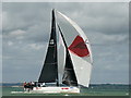 SZ4896 : Cowes Week 2017 by Peter Trimming