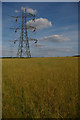 TQ4462 : Pylon line south of Cuckoo Wood by Christopher Hilton