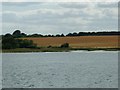 TM2237 : Chelmondiston Marshes at Colton Creek by Christine Johnstone