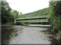 SN8001 : Ynysbwllog Aqueduct crossing the River Neath by David Tyers