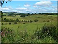 NS4181 : Field beside a footpath by Lairich Rig