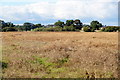 NT4881 : Farmland south of Gullane by Mike Pennington