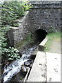 ST1493 : The Nant Twynyrharris flowing under the railway bridge, Twyn Rd by John Lord