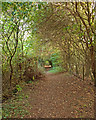 TM3191 : Angles Way near Bath Hills Farm, Earsham by Roger Jones