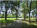 TA1131 : East Park - lakeside path with trees by Stephen Craven