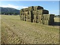 SO7844 : Hay bales on Malvern Common by Philip Halling