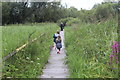 ST4286 : Boardwalk, Magor Marsh Nature Reserve by M J Roscoe