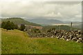 NN6792 : Path in Glen Truim, Cairngorm National Park by Andrew Tryon