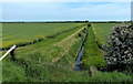 TA2022 : Drain and farmland near New House Farm by Mat Fascione