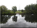 TL3701 : Looking across the River Lee Navigation near Cheshunt by Marathon