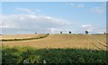 SP6281 : Waiting to be baled, east of Sybolds Spinney by Christine Johnstone