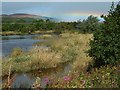 NS3976 : The River Leven below the Blue Bridge by Lairich Rig