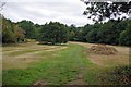 TQ3895 : Hay by the London Loop by Glyn Baker