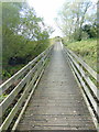 TQ9319 : Boardwalk at Rye Harbour Nature Reserve by PAUL FARMER