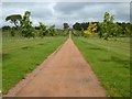 NS5321 : The Duchess of Rothesay Avenue, Dumfries House Estate by Philip Halling