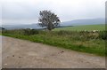 NJ5112 : Loanhead Plantation summit, looking south by Stanley Howe