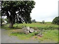 NZ0450 : Felled tree, Muggleswick by Robert Graham