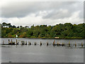 C4621 : Derelict Jetty at Lishally by David Dixon