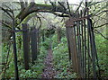 ST6469 : A crumbling fence, a natural archway by Neil Owen